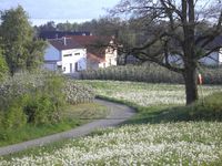 Weg vom Hermannsberg zu unserem Haus