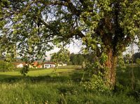 unser Haus im Fr&uuml;hling